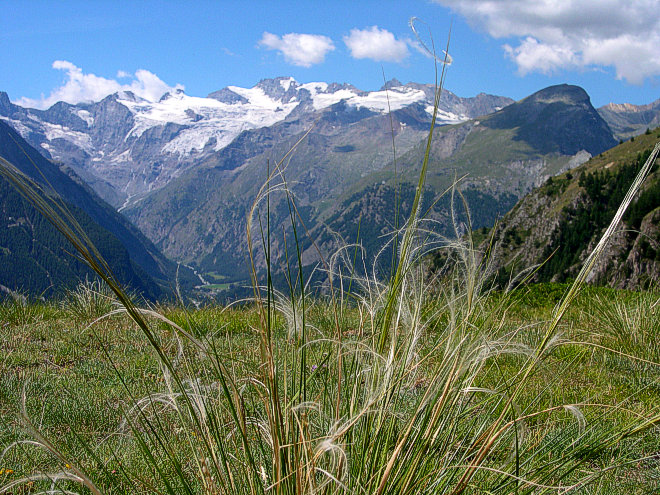 Gran Paradiso massif