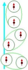 Tumbling molecule with spins